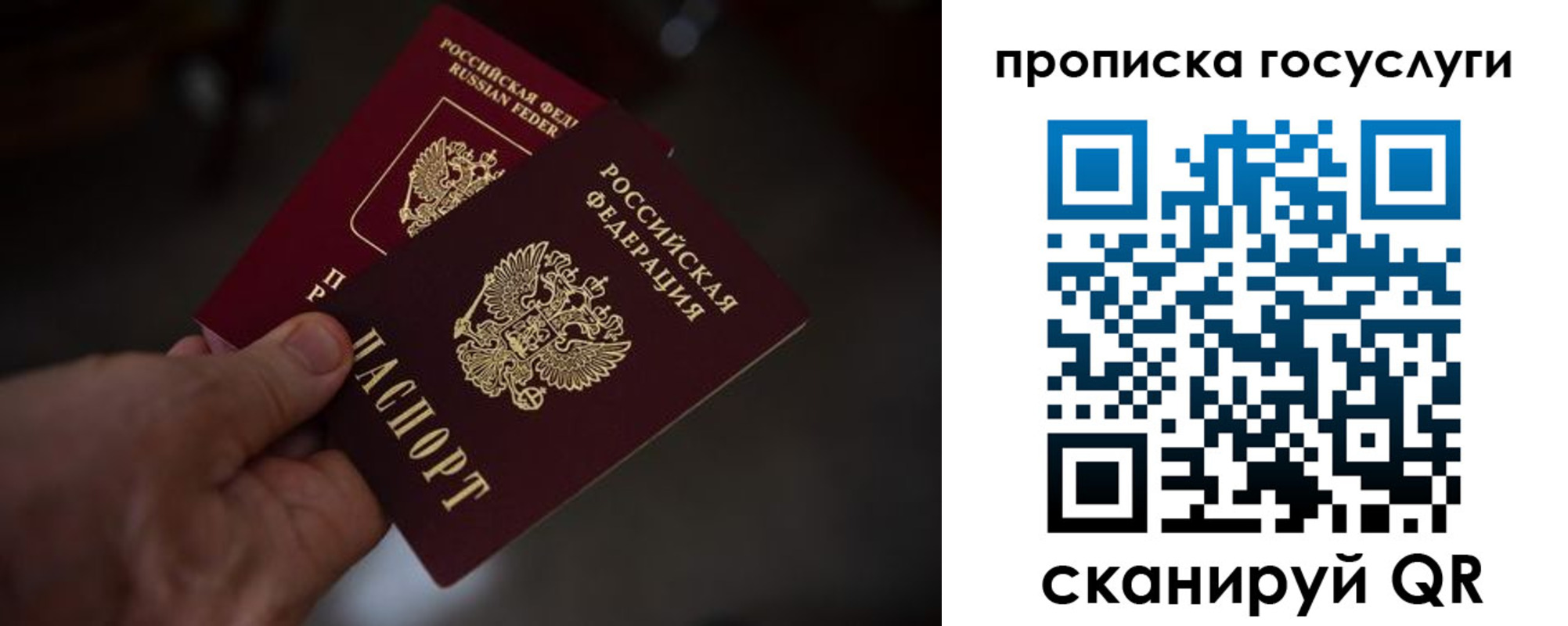 прописка ребенка в Луге